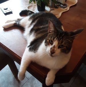 Meet your Posher, Caitlin